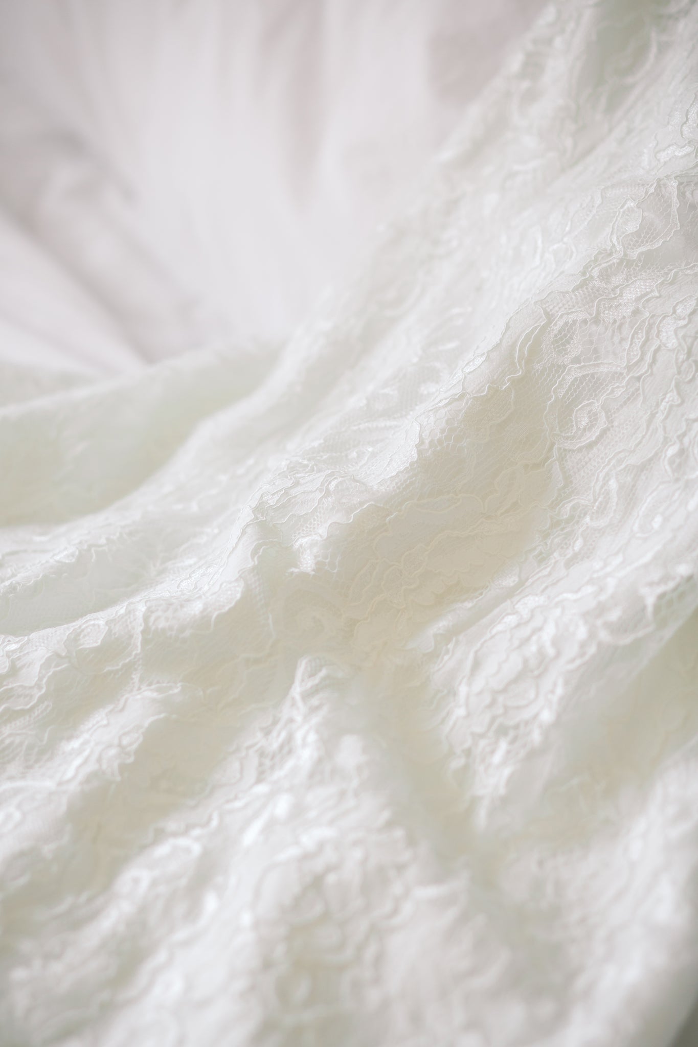 Verona in French corded lace